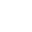 Fiat professional